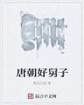 唐朝好舅子